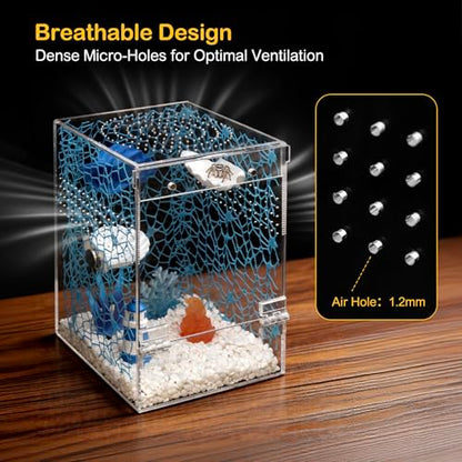Jumping Spider Enclosure Starter Kit,Escape Proof Ocean Terrarium | Praying Mantis Terrariums,Transparent Acrylic Complete Bug Habitat,All In One Arboreal Tarantula Cribs Cage,Insect Container - size: Large