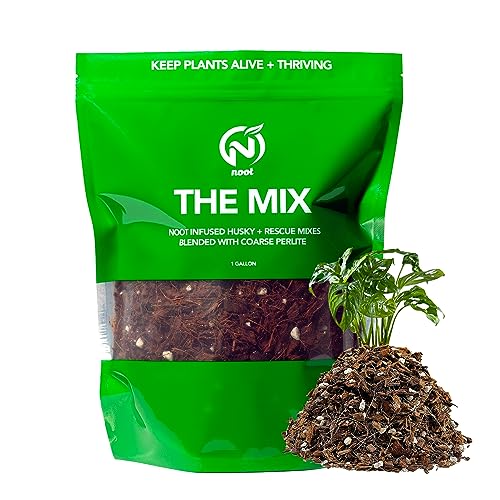 Noot Potting Soil Mix for Indoor & House Plants – 1 Gallon – Orchid, Succulent, Cactus, Aroid, Houseplant, Monstera – Bio-Organic – Fast Draining – Rapid Root Growth – Pre-Soaked & Ready to Use - size: Noot Potting Mix