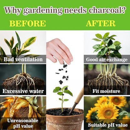 Sukh Horticultural Charcoal for Plants - 1.4Qt. Natural Earth Regulated Supplement for Potting Soil Indoor Plants, Organic Biochar, Succulent Soil, Paphiopedilum, Bonsai, Terrarium - size: 1.4Qt.