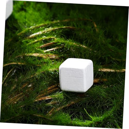 Toddmomy 30pcs Climbing Pet Calcium Block Frog Chameleon Reptiles Amphibian Health Products Frog Chameleon Health Reptiles Turtle Accessories Lizard Mineral White