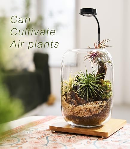 Terrarium Kit with Grow Light – 24-Piece DIY Glass Terrarium Set with Tools, Moss, Driftwood, Soil & Pebbles – Mini Gardening Kit for Air Plants, Succulents & Indoor Desk Decoration Gift - size: Round Set