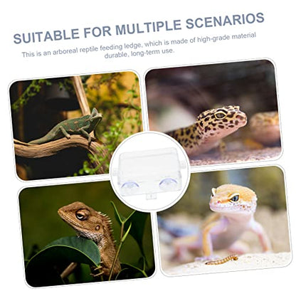 Hemoton 2pcs Reptile Feeding Bowls Escape Water Basin for Tanks Suction Cup Reptile Food Dishes Supplies