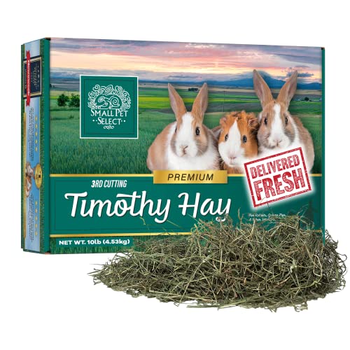 Small Pet Select 3rd Cutting Super Soft Timothy Hay Pet Food for Picky Eaters, Rabbits, Guinea Pigs, and Other Small Animals, Easy to Store Box, 10 LB - size: 10 Pound (Pack of 1)