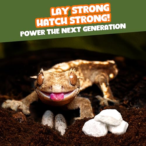 Meric CoCoo Mineral Rocks for Leopard and Crested Geckos, Reptile Enrichment, Terrarium Decor, with Lime, Calcium, and Trace Elements, 2 oz.