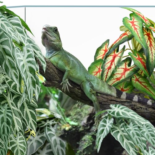 QUOZUO 2 Pack Reptile Plants for Terrarium, Artificial Leaves Habitat Decorations with Suction Cups, Terrarium Hanging Plants Vines for Bearded Dragons Lizards Snake Geckos Frogs - red and White