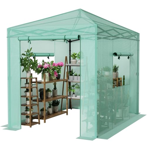 Greesum 8x6 FT Portable Pop-up Greenhouse with Center Lock, PE Cover, Zippered Door and 2 Roll-up Windows, Easy Assemble(Green) - style: 8X6 FT