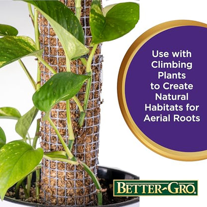 Better-Gro Premium Grade Orchid Moss - 100% Natural, Imported Sphagnum Moss for Orchids, Ferns, and Hostas, Excellent for Hanging Baskets and Propagating Plants - 190 Cubic Inches - size: 190 cu. in.