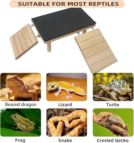 Bearded Dragon Platform Wooden Reptile Hideout Cave Climbing Tank Accessories with Reptile Basking Rock for Leopard Gecko Lizard Tortoise - size: Large