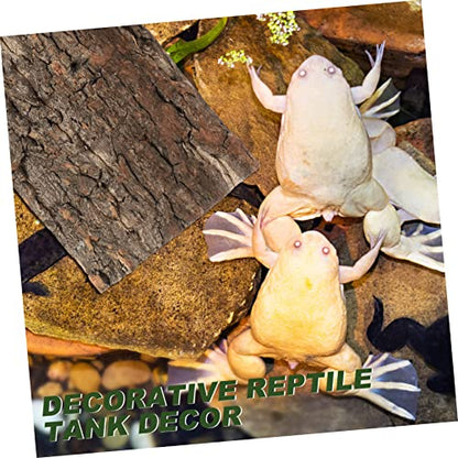 POPETPOP 6pcs Cork Bark Decorative Background for Reptile Tanks and Aquariums Natural Aesthetic Decor for Turtles Lizards and Snakes Easy to Install No Maintenance Required