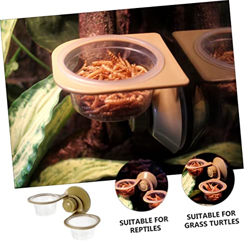 BESPORTBLE 2pcs Wall-Mounted Lizard Feeding Basin Automatic Reptile Pet Feeder Water Dish for Reptiles Like Gecko Snake Turtles Safe Material