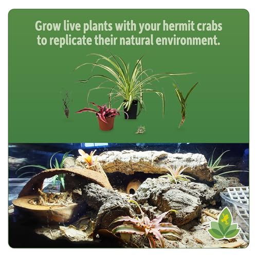 Josh's Frogs Hermit Crab BioBedding Bioactive Substrate (4 Quart (Sand Included)) - size: 4 Quart (Sand included)