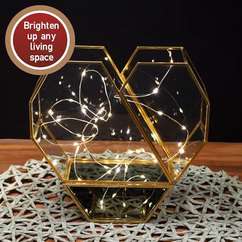 D'Eco Glass Heart Centerpiece (8x8x2.5)- Tabletop Planter Terrarium - Spring Home Decor & Wedding Letterbox - Fill with Succulents, Cacti, Air Plants, Moss, Flowers for Plant Lovers - size: Heart
