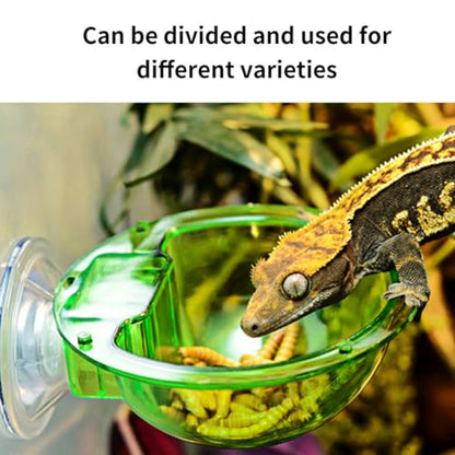 Reptile Bowl Feeder Water Dish Gecko Ledge Suction Cup Accessories for Gecko Lizard Snakes