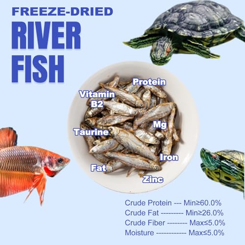 Amzey 3 Pack 0.8Oz (Total 2.4Oz or 68Gram Dried River Fish - Natural Food for Turtles, Terrapins, Reptiles and Large Tropical Fish - size: 0.8 Ounce (Pack of 3)
