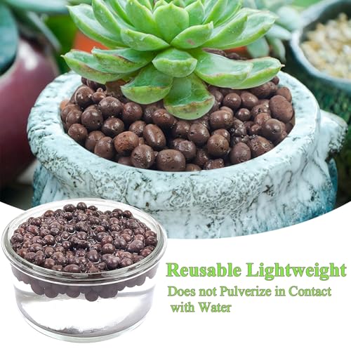 FANTIAN Clay Pebbles for Plants, 2 lbs, 8-12 mm | Leca Clay Balls, Indoor Plants, Orchid Potting Mixes, Hydroponic Growing, Aquatic Plant Soil Drainage - color: Clay Pebbles