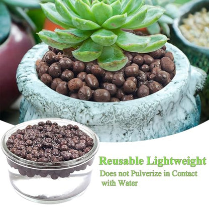 FANTIAN Clay Pebbles for Plants, 2 lbs, 8-12 mm | Leca Clay Balls, Indoor Plants, Orchid Potting Mixes, Hydroponic Growing, Aquatic Plant Soil Drainage - color: Clay Pebbles