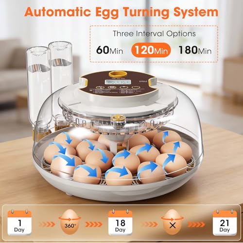 18 Egg Incubator with Automatic Egg Turning & Humidity Control, Built-in Egg Candler, 360° View Window & Dual-Size Trays for Chicken, Duck, Quail, Goose Eggs – Ideal for Farm, Classroom, Home