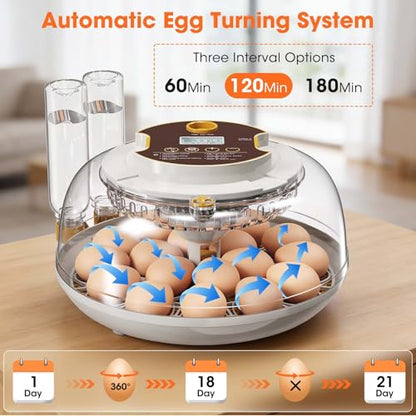 18 Egg Incubator with Automatic Egg Turning & Humidity Control, Built-in Egg Candler, 360° View Window & Dual-Size Trays for Chicken, Duck, Quail, Goose Eggs – Ideal for Farm, Classroom, Home