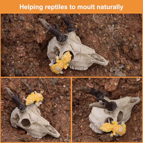 Mini Reptile Hide Cave, Small Terrarium Shelter for Spider, Tarantula, Gecko Tank Accessories, Natural Climbing Decor for Terrarium Habitat, 4 Inch(Elk Skull)