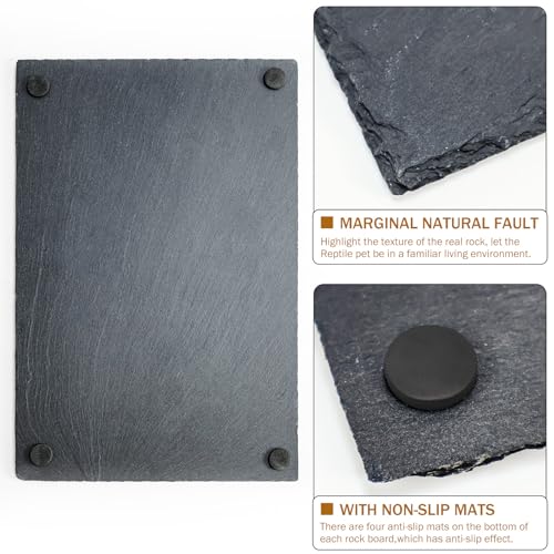 Tortoise Habitat basking Rock Feeding Dish Bearded Dragon/Lizard Original Rock Slab,Easy to Grind the Nails,with Non-Slip mats,Natural Food Bowl,Moisturizing Effect(Large- Size) - size: Large-Size
