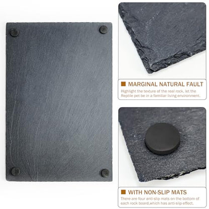 Tortoise Habitat basking Rock Feeding Dish Bearded Dragon/Lizard Original Rock Slab,Easy to Grind the Nails,with Non-Slip mats,Natural Food Bowl,Moisturizing Effect(Large- Size) - size: Large-Size