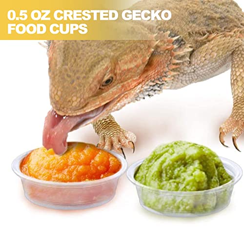 0.5oz Crested Gecko Food and Water Feeding Cups, Reptile Feeder Bowls, Plastic Replacement Food Dish for Lizard and Other Small Pet Ledge Accessories (500 pcs) - size: 0 Fl Oz (Pack of 500)