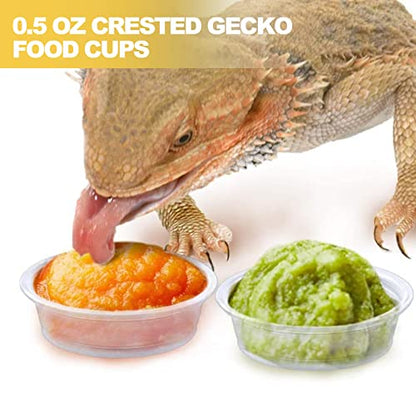 0.5oz Crested Gecko Food and Water Feeding Cups, Reptile Feeder Bowls, Plastic Replacement Food Dish for Lizard and Other Small Pet Ledge Accessories (500 pcs) - size: 0 Fl Oz (Pack of 500)