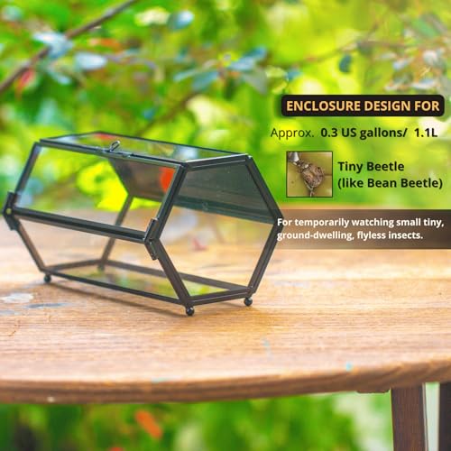 NCYP Small Glass Terrarium Enclosure with Mesh & Door for Tiny Beetle, Jumping Spiders, Hexagon Vented Glass Terrarium 6.8'' x 4.1'' x 3.6'', Indoor Decor, Black (Plants Not Include) - size: 6.8'' x 4.1'' x 3.6''