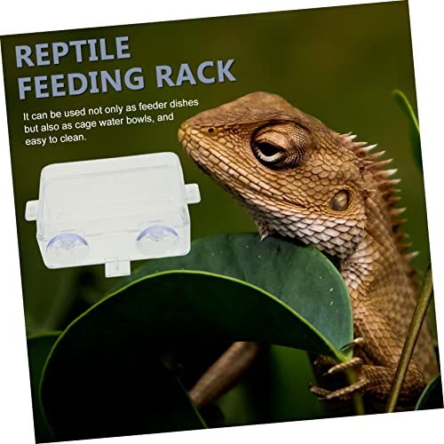 BESPORTBLE 2PCS Reptile Feeding Bowls Suction Cups Washable Lizard Food and Water Dishes Escape-Proof Reptile Feeders for Bearded Dragons Geckos Tortoises