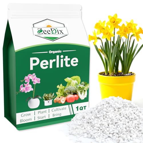 ZeeDix Premium Perlite for Plants, Horticulture Soil Amendment, 3-9mm Granule Size Potted Plant Soil for Orchid Cactus Succulents Carnivorous Monstera Repotting, Indoor Outdoor Gardening, 1QT - color: Perlite, size: 1 qt