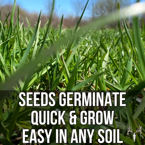 Crooked Bend Memas Moo Mix, 25LB Bulk, Farm Pasture Seed Blend for Horse, Cattle, Pig, Goat, Chicken, Duck, Sheep & Livestock, Grow Alfalfa & Perennial Grasses Fields, Graze Resistant, Cold Tolerant - size: 25 pounds
