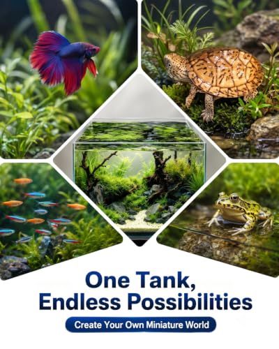 4.9 Gallon Glass Fish Tank, 5 Gallon Small Aquarium Bowl, Ultra Clear, Rimless Design, for Betta, Goldfish, Snails, Shrimp, Aquatic Planting Beginner - color: Black