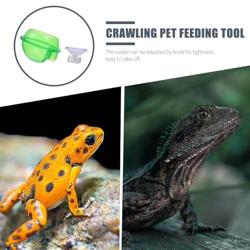 VOSAREA Reptile Food Basin and Drinking Bowl Set, Escape Proof Lizard Feeder with Suction Cup, Sturdy Plastic Water Dish for Geckos, Spiders, and Small Amphibians, 2pcs for Terrarium Use