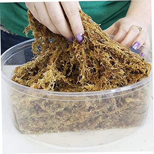 Sphagnum Moss Dried Spagnum Dry Moss for Reptiles Bedding and Terrarium Pet Supplies 150g, Sphagnum