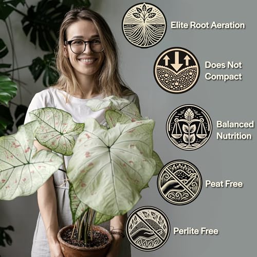 Craft Aroid Potting Mix- Elite Alocasia, Philodendron, Monstera Soil Mix, Chunky, Well Draining Potting Soil for Indoor Plants, All Tropical Plants & Houseplants, Peat Free 12QT - size: 12 Quart