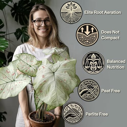 Craft Aroid Potting Mix- Elite Organic Alocasia, Philodendron, Monstera Soil Mix, Chunky, Well Draining Potting Soil for Indoor Plants, All Tropical Plants & Houseplants, Sustainable & Peat Free 1QT - size: 1 Quart