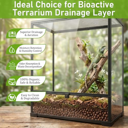 Riare 6LBS Expanded Clay Balls Terrarium Substrate for Reptiles - 100% Organic Lightweight Clay Pebbles Substrate Frogs False Bottom Substrate, Bioactive Terrarium Substrate for Drainage and Moisture - color: 6LB