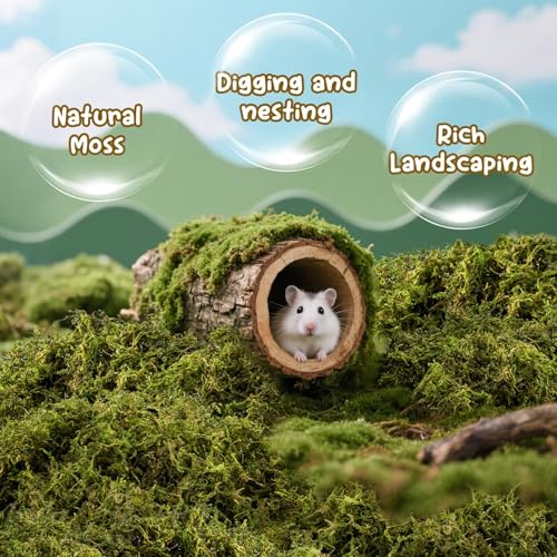 Sukh Hamster Moss - 5.6 Oz Forest Moss for Hamster Bedding Nesting Hideout Dried Moss Reptile Moss for Squirrels Hamsters Guinea Pigs Mices Small Animals Cage Accessories