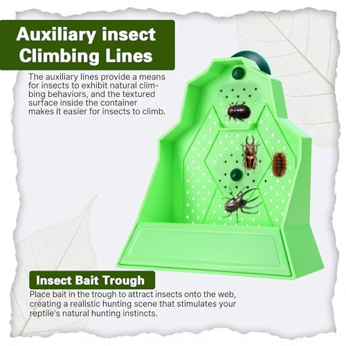 Bearded Dragon Feeder, Wall-Mounted Reptile Feeding Bowl, Anti-Escape Feeder with Suction Cup, Bearded Dragon Tank Accessories for Terrarium, Vivarium, Lizard, Gecko, Frog