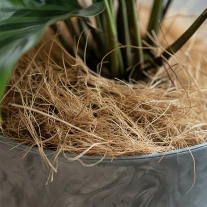 Natural Coconut Husk Fiber Organic Pure Coconut Husk Silk for Plants Coco Coir Fiber Substrate Loose & Fluffy Non-Vacuumed Easy to Separate for Orchids 3.5 Oz (100g) - size: 100g
