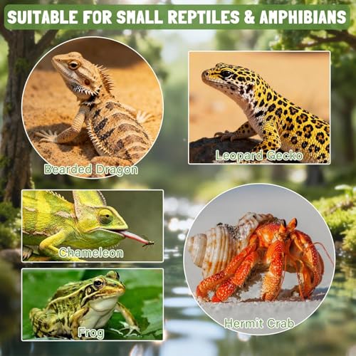 Reptile Feeder,Feeding Drinking Dish for Reptile,Leopard Water and Food Bowl - for Enclosure Terrarium Turtle Tortoise Snake Bearded Dragon Lizard Chameleon Leopard
