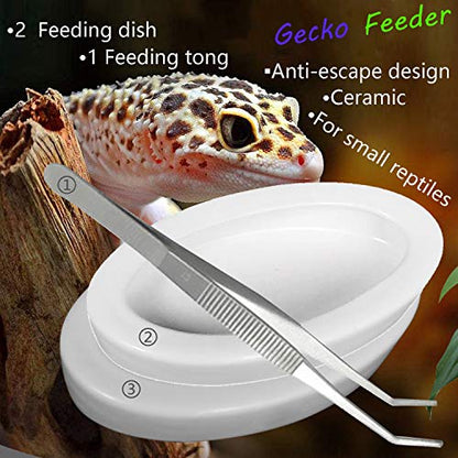Reptile Worm Feeding Dish Bowls Gecko Lizard Feeder Dish with Feeding Tong, 2 Bowls and 1 Feeding Tong, Ceramic Mini Size