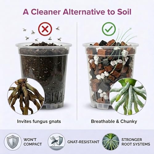 Molly's Orchid Potting Mix - Premium Gritty Soilless Orchid Mix - Chunky High Drainage vs Standard Potting Soil for Indoor Plants - Contains Bark, Coco Chips, Akadama, Pumice, Lava Rock 5 Dry Quarts - size: 5 Dry Quarts, style: Orchids