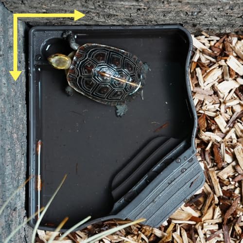 Reptile Water Feeder Automatic Water Dispenser with Ramp Extra Large Reptile Bathing Pool for Gecko, Snake, Turtle, Bearded Dragon, Lizard Bath Aquarium Ornament (with Bottle) - size: with Bottle