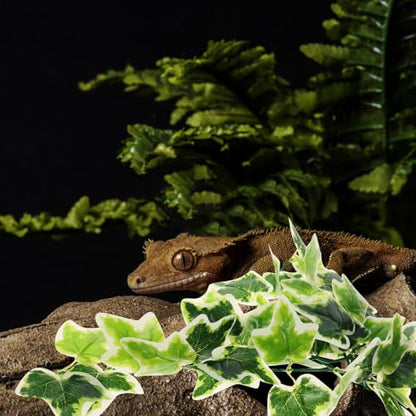 Cabilock Artificial Reptile Plants Hanging Ornament with Suction Cup, Lifelike Fake Plant Pendant for Amphibious Habitat Decoration in Terrariums and Reptile Enclosures