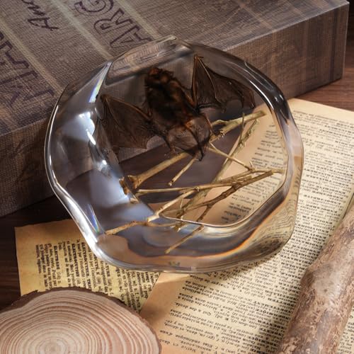 Taxidermy Bat and Real Bat Specimens Mounted in Resin, Ideal Gift for Fans of Taxidermy, Animal Skulls, Oddities, and Biology (Bat Specimen Irregularly (4.7x4.13 Inch)) - color: Bat Specimen Irregularly (4.7x4.13 Inch)
