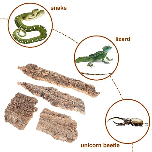 4pcs Natural Reptile Climbing Bark Decor for Terrariums for Lizards Bearded Dragons and Habitats Pet Environments