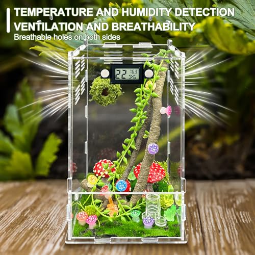 Jumping Spider Enclosure,DIY Insects Habitat,Small Reptile Terrarium Glass House Accessories Set,with Temperature and Humidity Detector Water Feeder Platform Hide,5.5“x5.5”x9.5“ (Luminous Mushrooms) - color: Luminous mushrooms