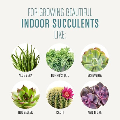 Miracle-Gro Succulent Potting Mix, 4 qt. | For Indoor Succulents, Aloe Vera and More, Made with Miracle-Gro Plant Food - size: 1 Pack, style: Succulent