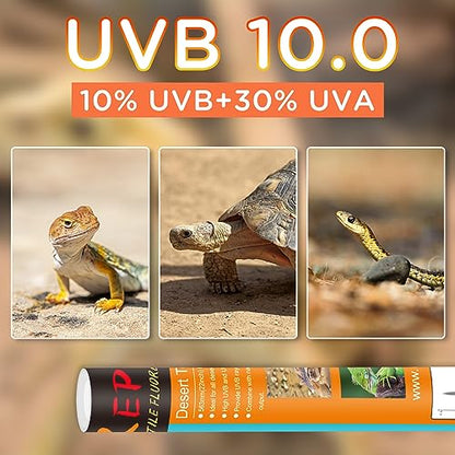 T8 UVB Reptile Light 18W 10.0-2 Pack,UVA UVB Light Bulb for Reptiles,Reptile UVB Lamp Tube for Bearded Dragon - size: 24inch-10.0
